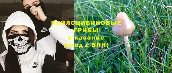 дурь Елизово