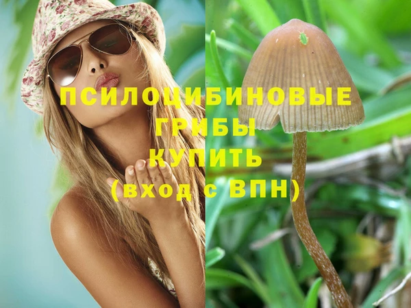 каннабис Ельня