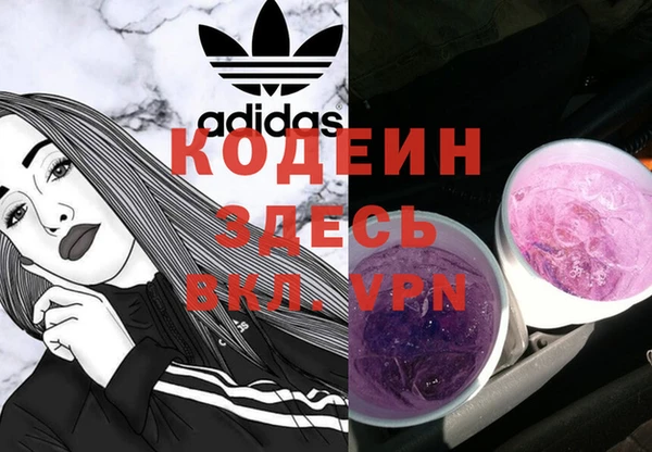 дурь Елизово