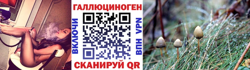 Галлюциногенные грибы прущие грибы  Вязьма 