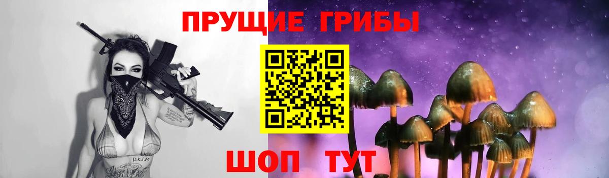Галлюциногенные грибы MAGIC MUSHROOMS  Вход с VPN  закладка  Вязьма 